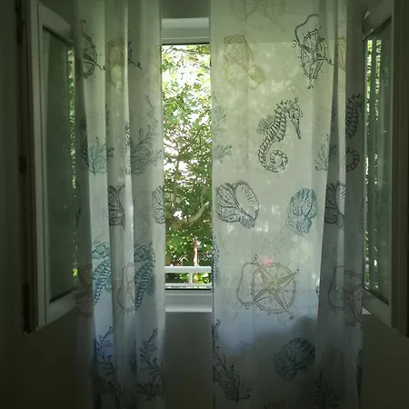Adriatic Pavlinovic - Apartment
